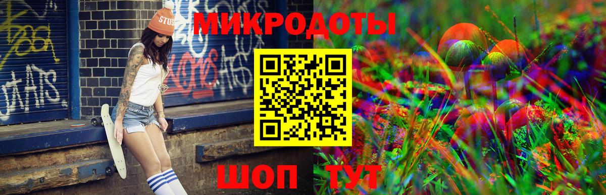 Псилоцибиновые грибы мицелий Тара