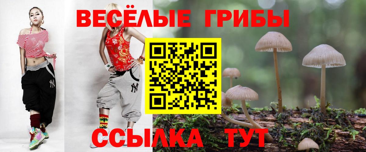Псилоцибиновые грибы Cubensis  Вход с VPN  Тара 